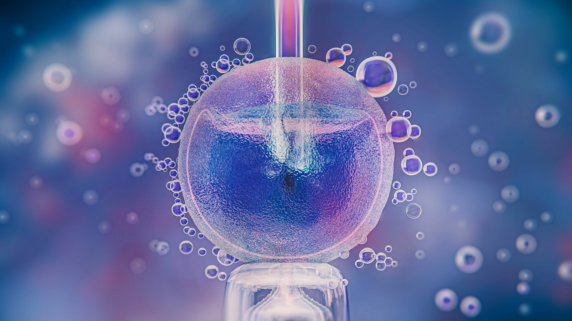 Budai_klinika_IVF_elokeszíto_vizsgalat